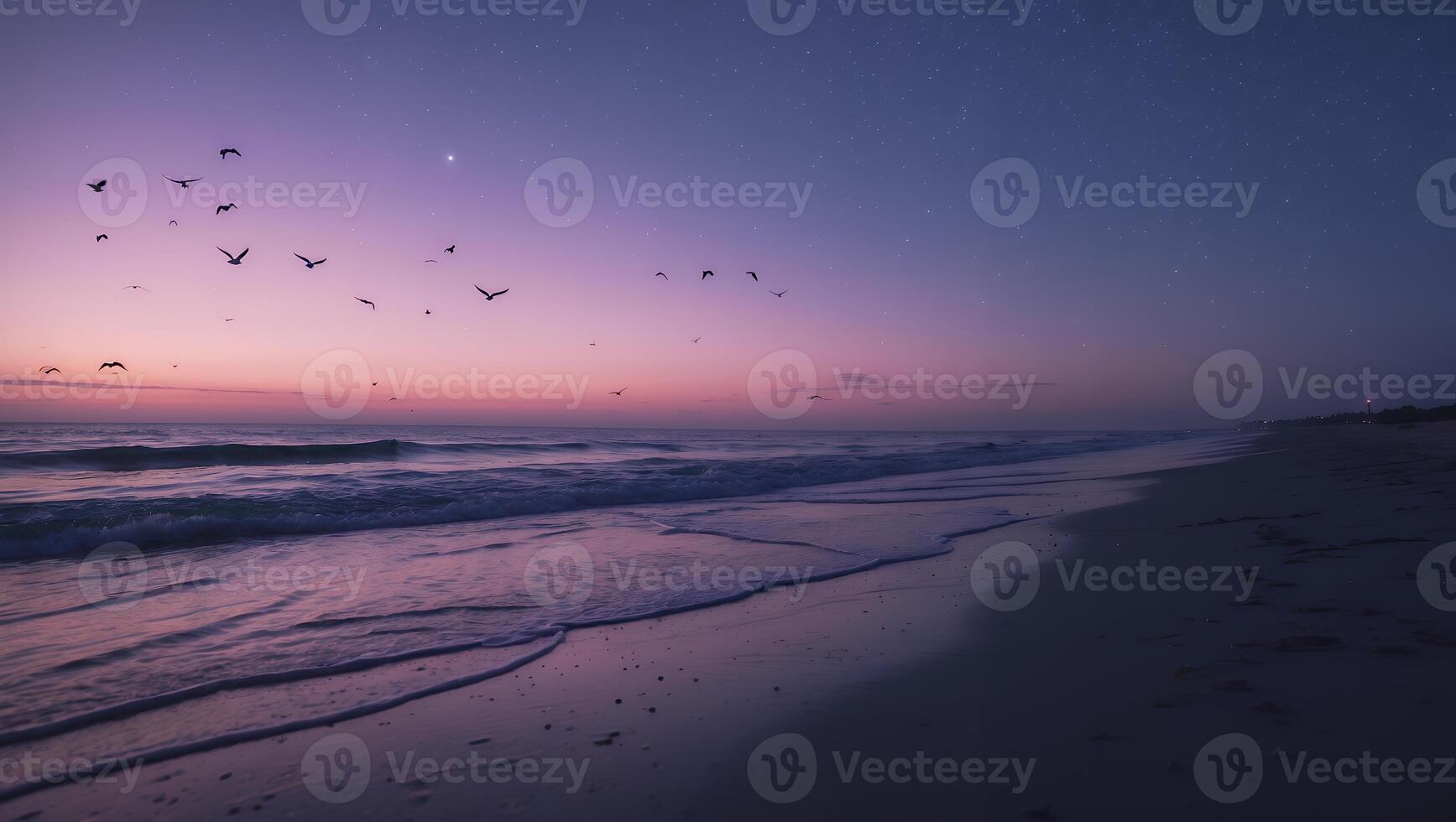 Ocean Beach at Dusk with Birds Flying and Colorful Sky photo