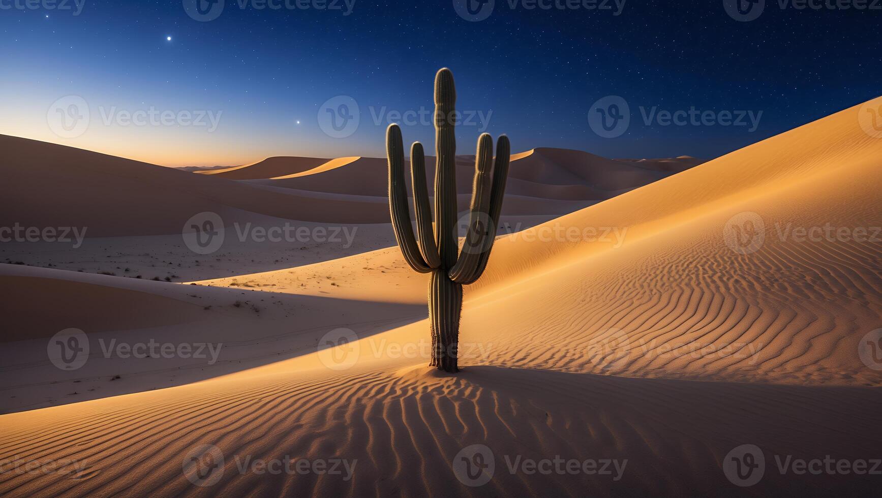 Cactus Standing Tall in Desert Sand Dunes Under Starry Night photo