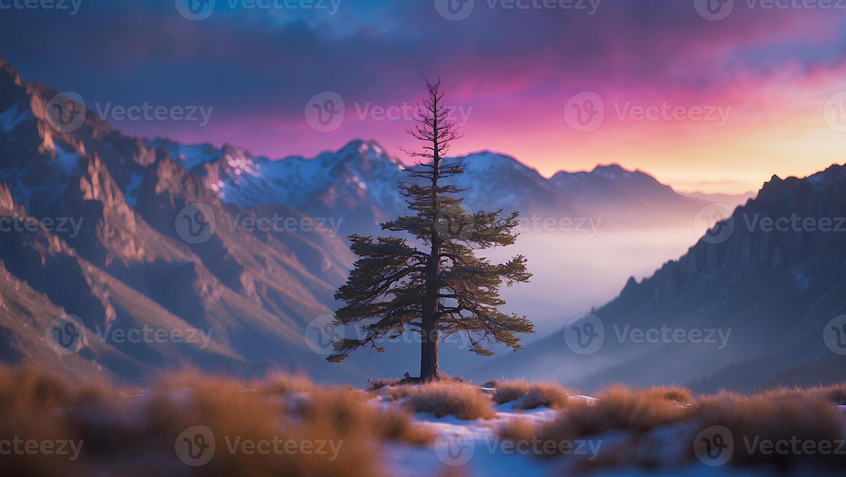 Lone Tree Stands Tall in Mountain Landscape with Foggy Valley photo