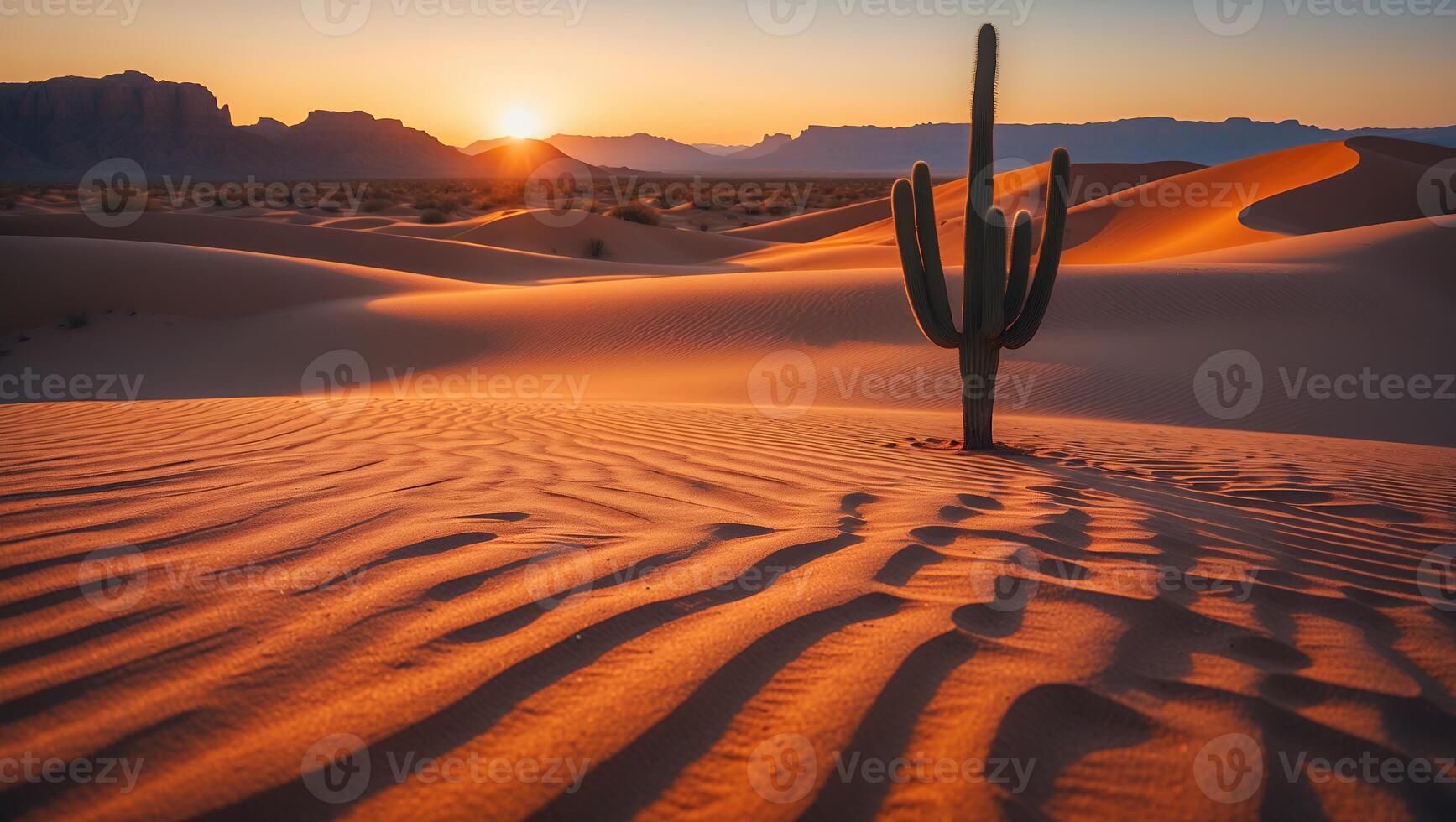 Cactus in Desert Sand Dunes at Sunset with Warm Light photo