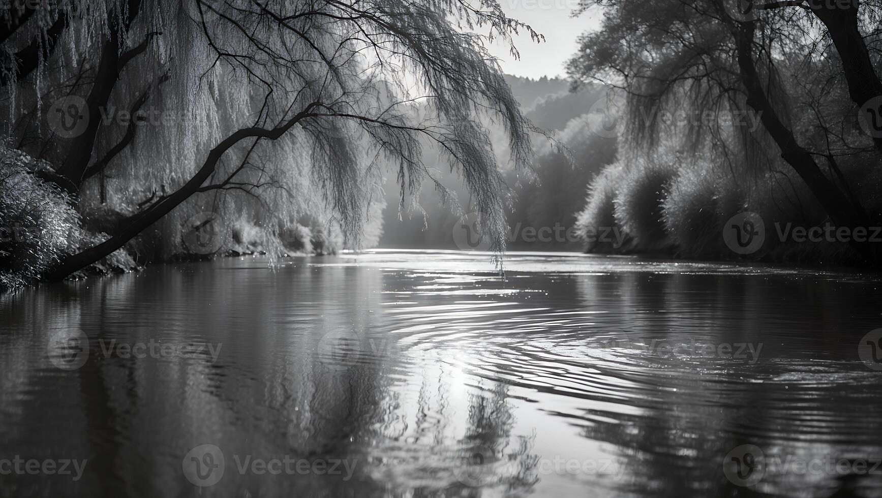 River Flowing Under Weeping Willow Trees Creates Serene Black and White Scene photo
