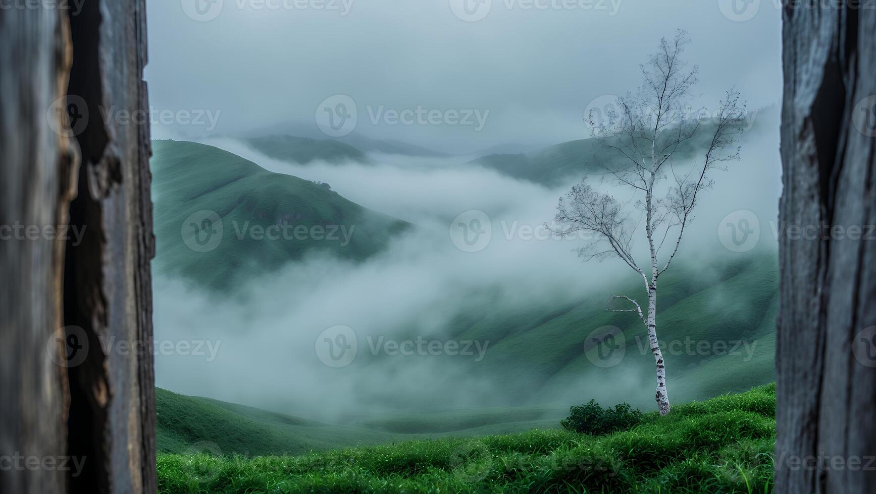 Foggy Green Hills Landscape with Lone Tree and Wooden Frame View photo