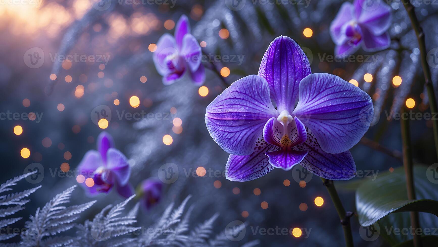 Blooming Orchid in Soft Lighting with Fern and Bokeh Background photo