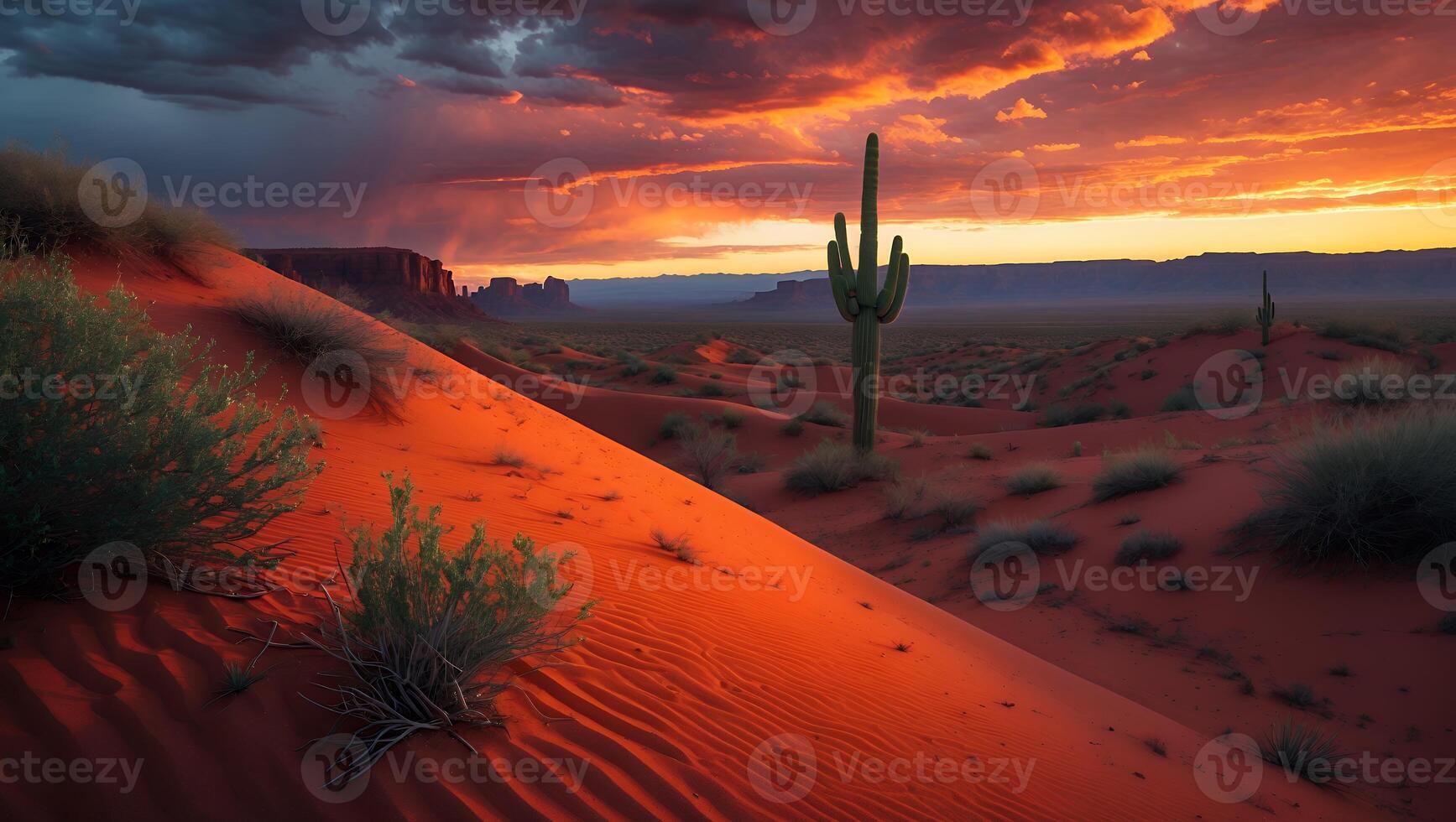 Cactus in Desert Landscape at Dramatic Sunset with Red Sand photo