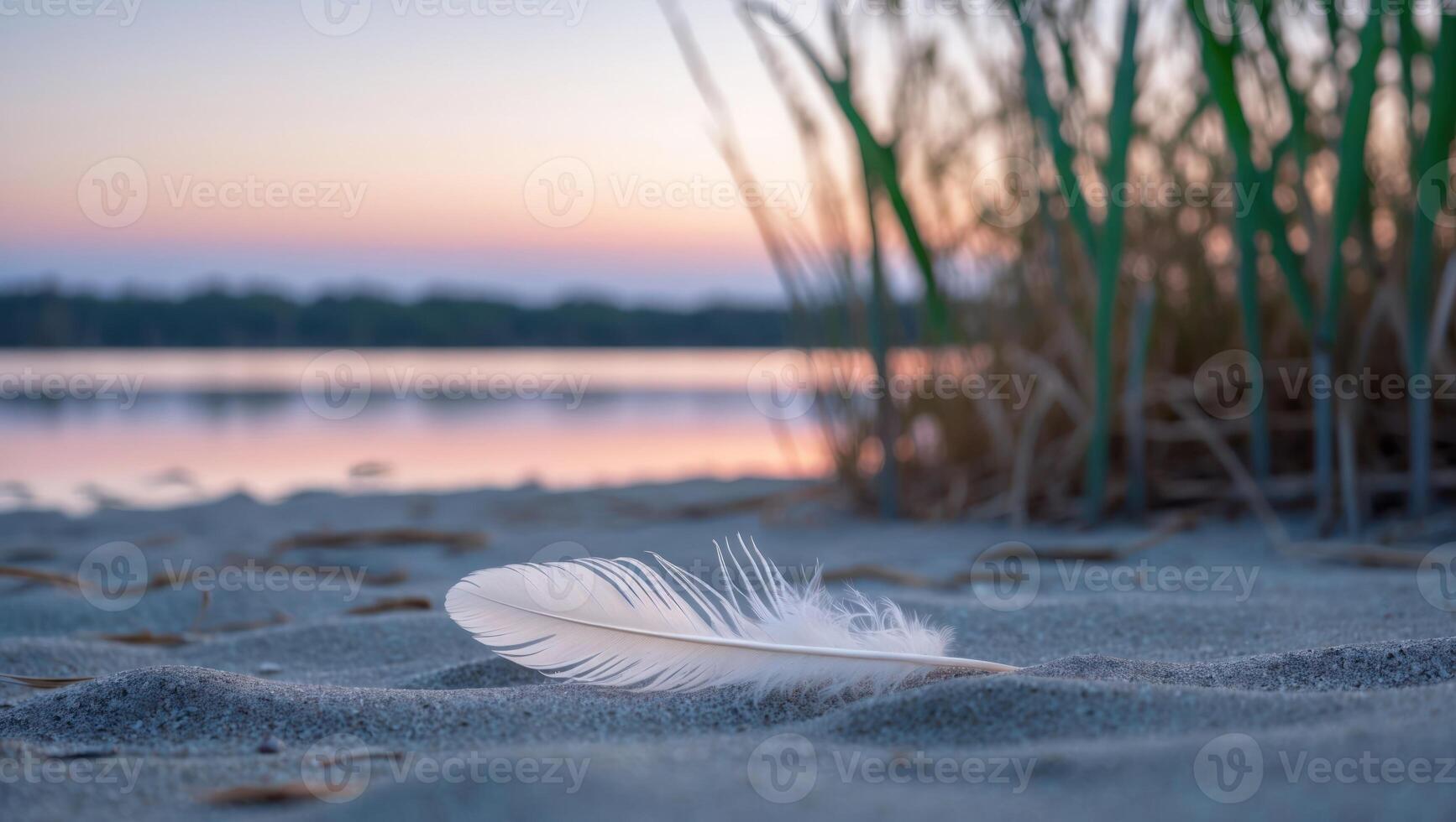 Feather Resting on Beach Sand at Calming Sunset Near Calm Water photo