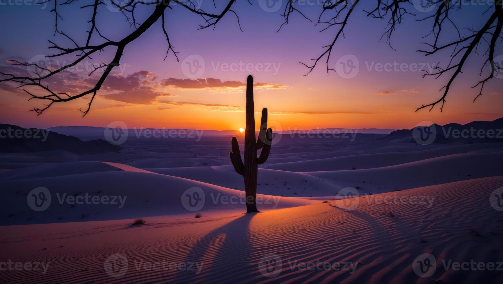 Cactus Standing Tall in Desert Landscape with Dramatic Sunset Sky photo