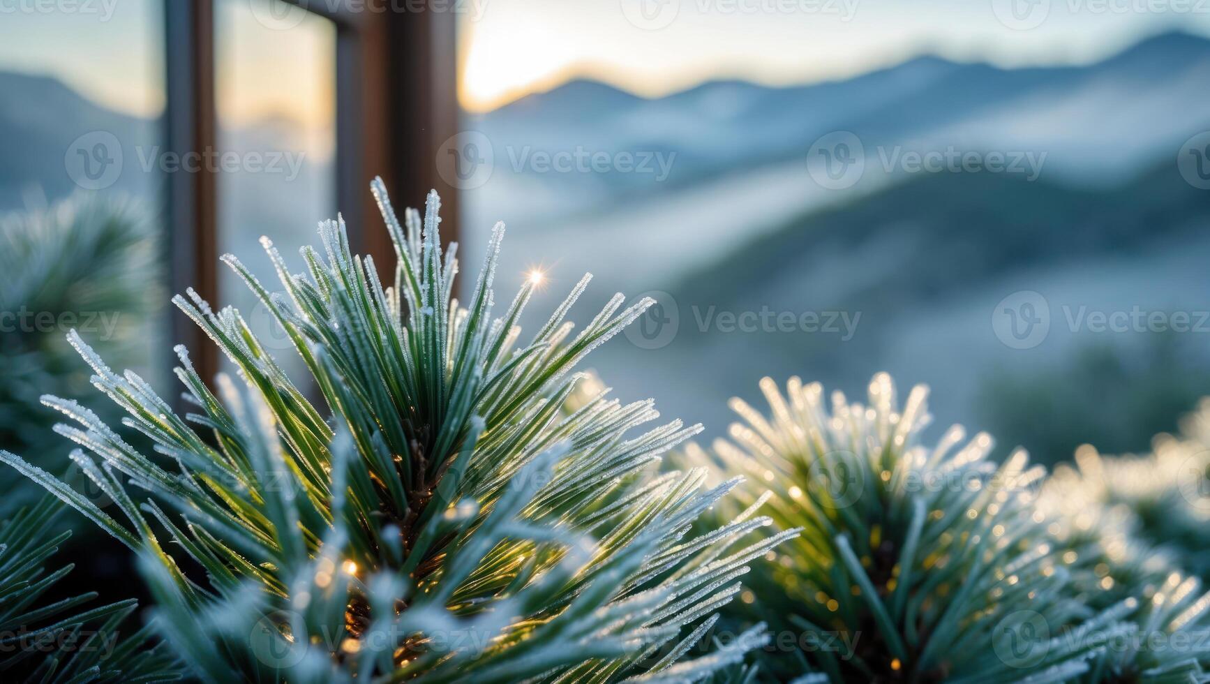 Frosty Pine Branch with Mountain View at Sunrise Creates Serene Scene photo