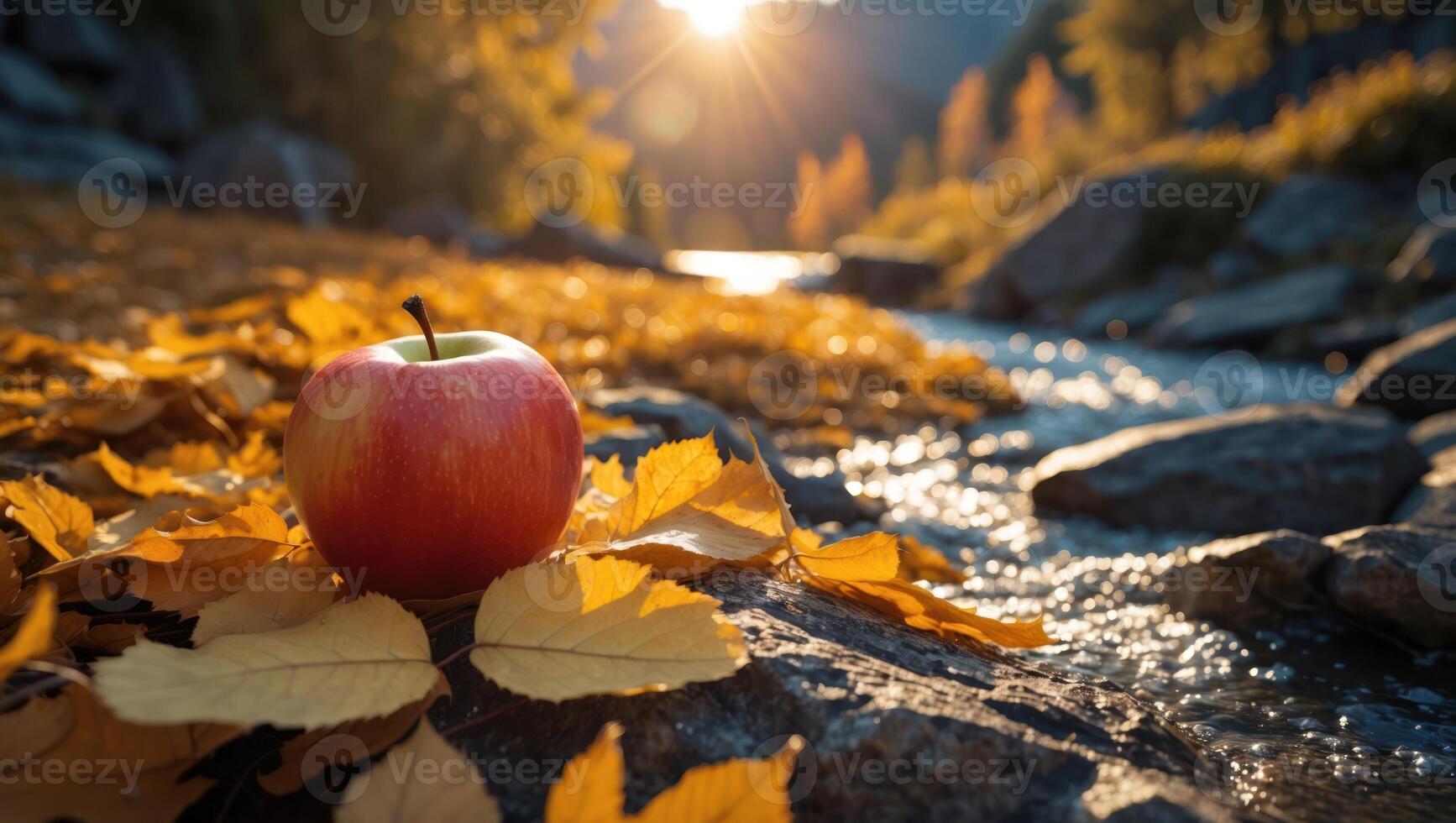 Apple Resting on Rock with Fall Leaves and Stream at Sunset photo
