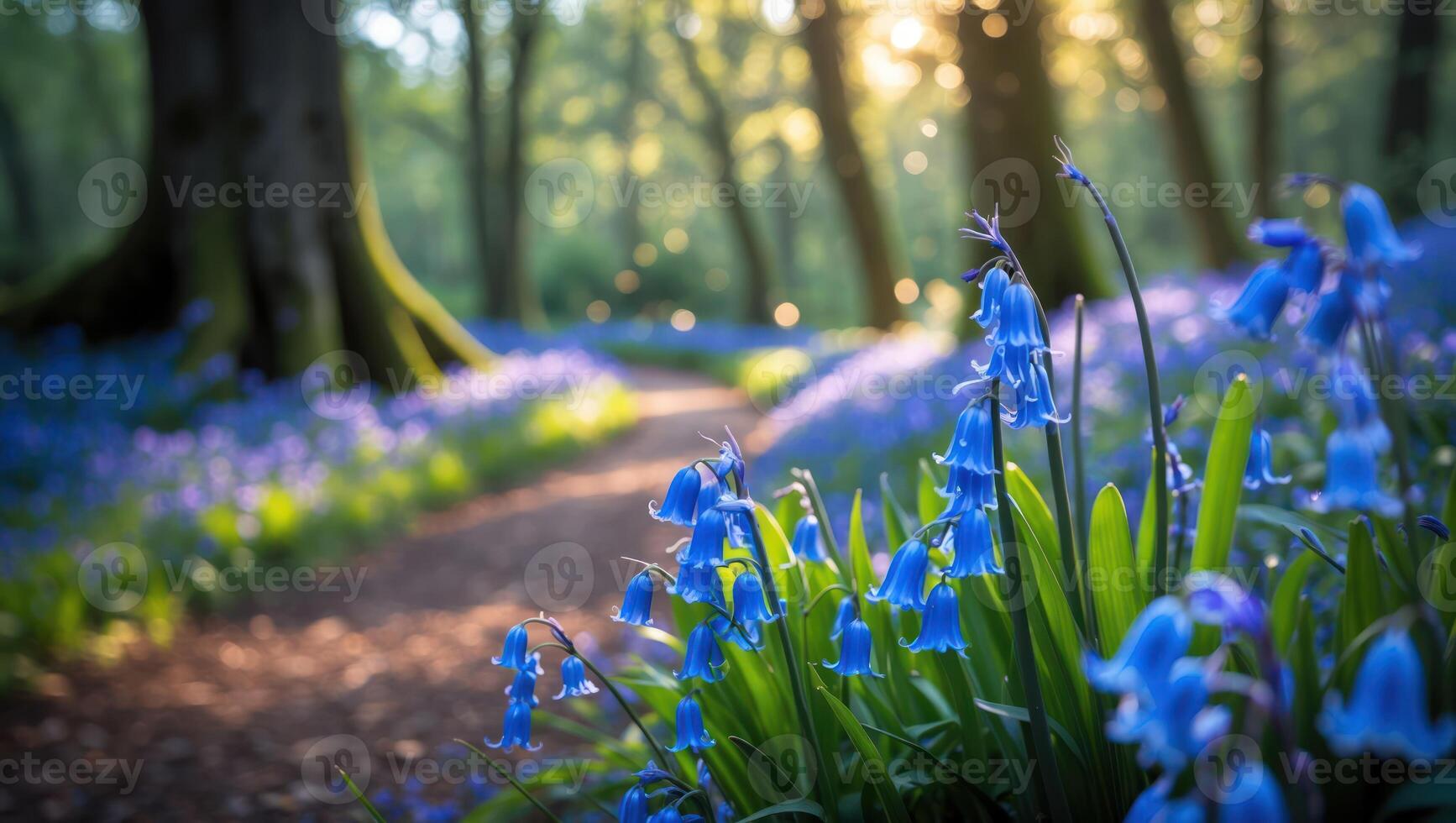 Walking Path Through Forest Covered in Bluebell Flowers During Springtime photo