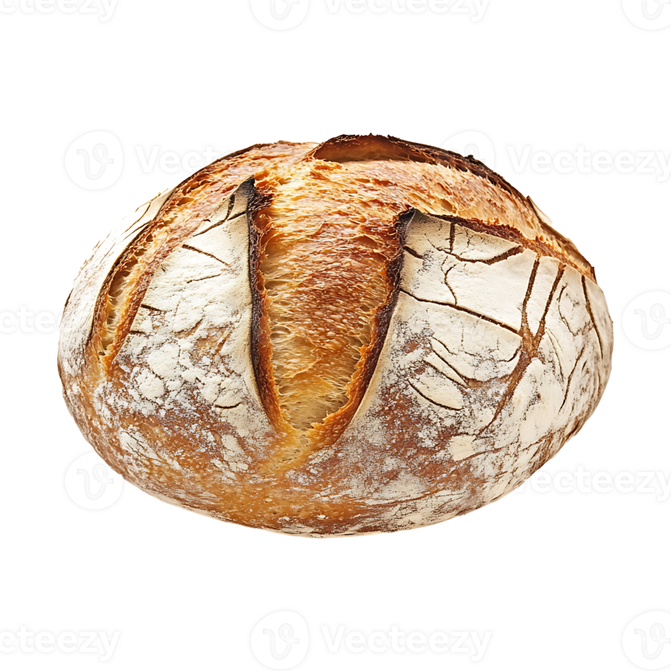 Freshly baked sourdough sits isolated on transparent background png