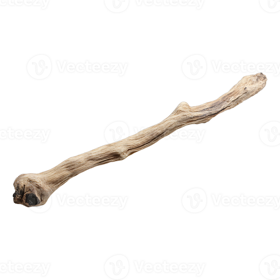 A single weathered driftwood branch lies diagonally on transparent background png