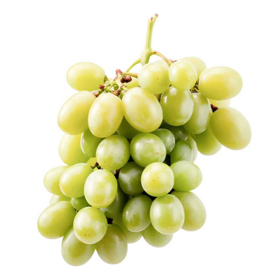 Bunch of Fresh Green Grapes with Stems on a Transparent Background Studio Shot png