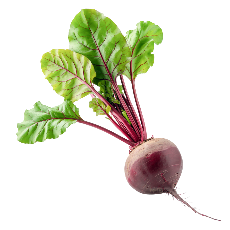 Fresh Beetroot with Green Leaves on Transparent Background, Closeup, Healthy png