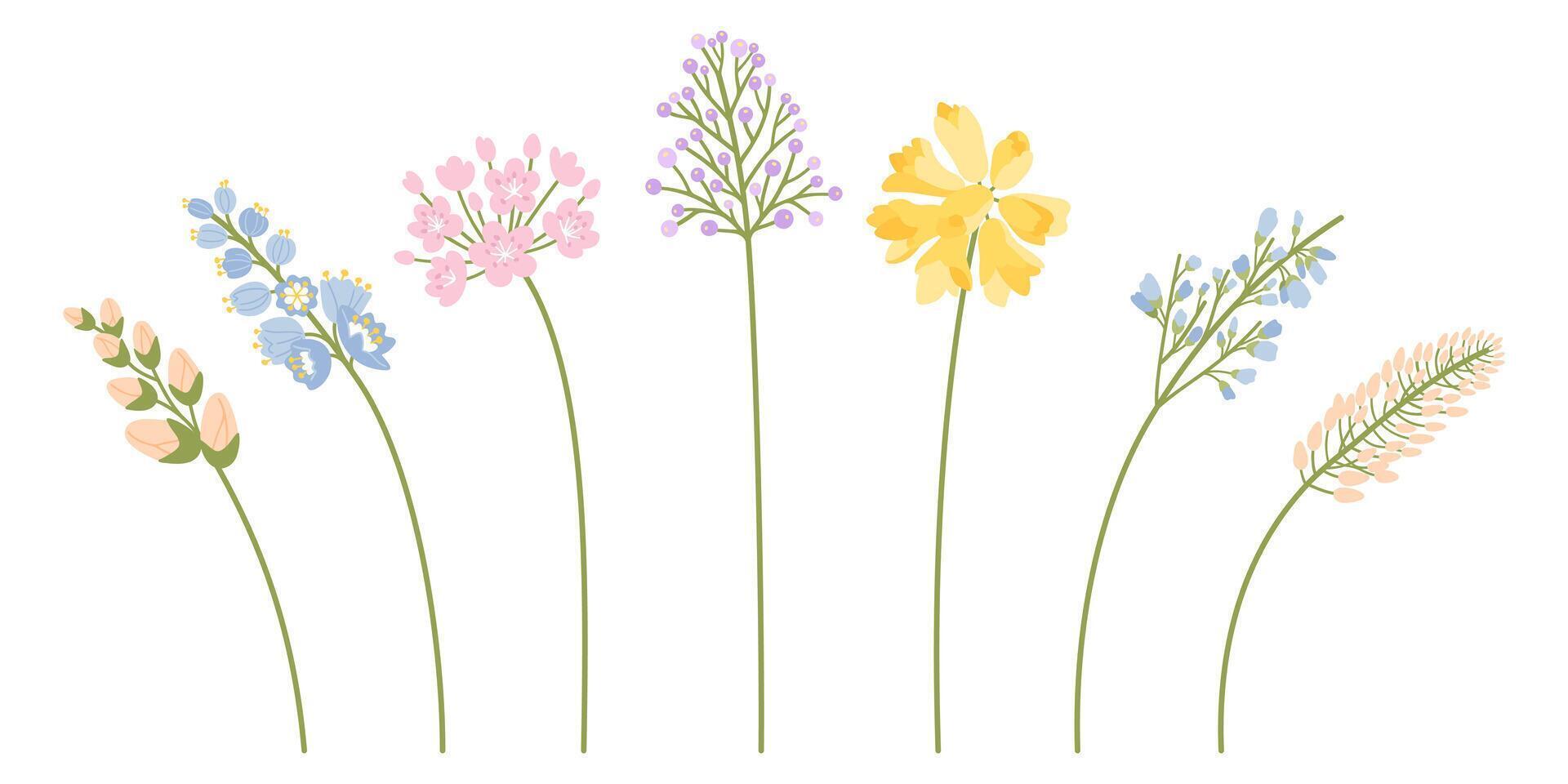Wildflowers set, branches with buds and inflorescence flowers in pink, blue, and yellow colors. Meadow colorful herbs and various botanical wild plants for design projects. vector