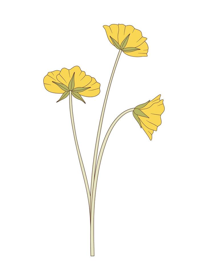 Bouquet of three yellow flowers. Bunch of blooming perennial wild plants. Botanical hand drawn elements for design projects illustration vector