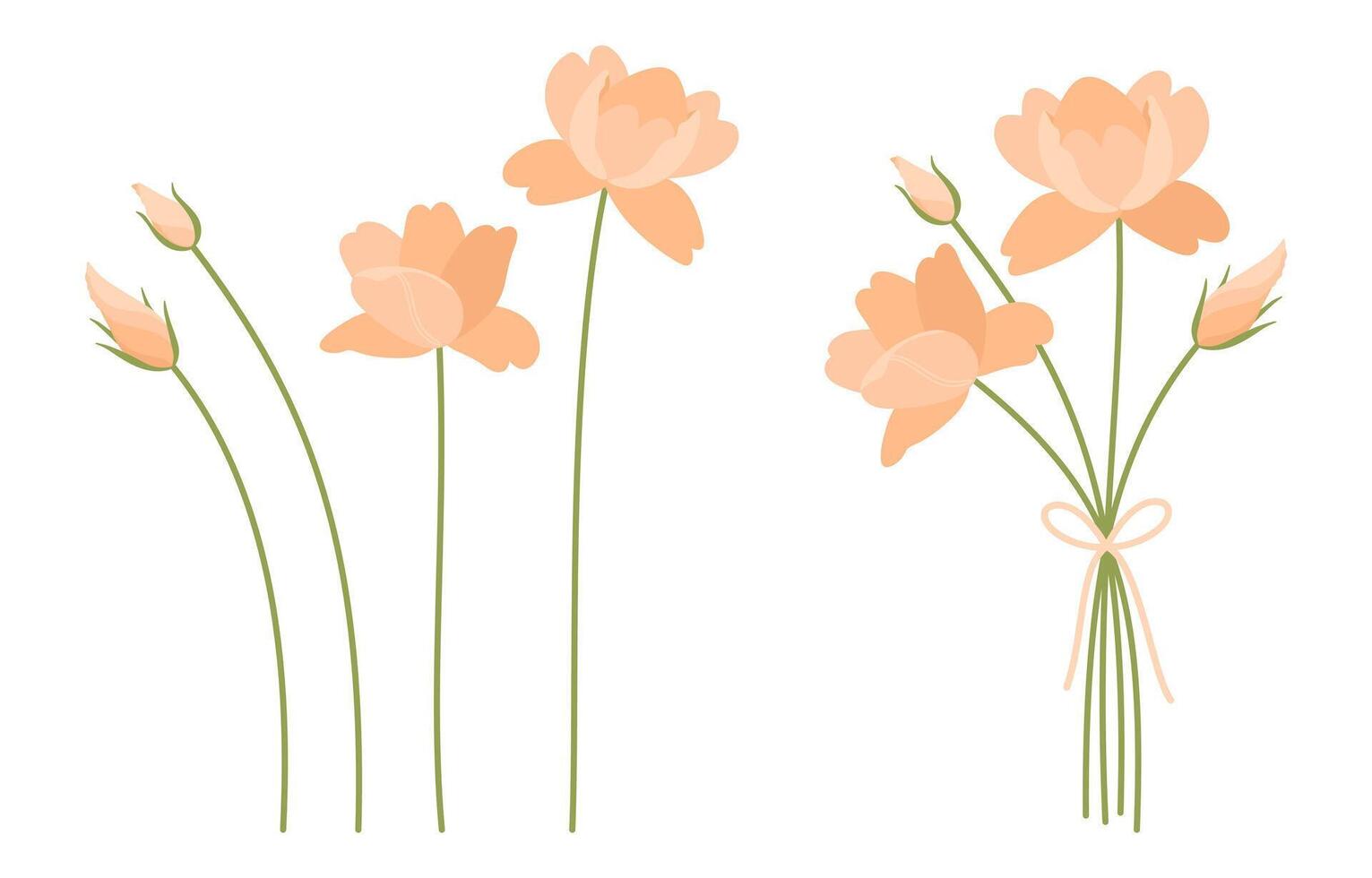 Set of bouquet and delicate orange flowers with green stems, white background. Bunch of wildflowers, illustration for design projects vector