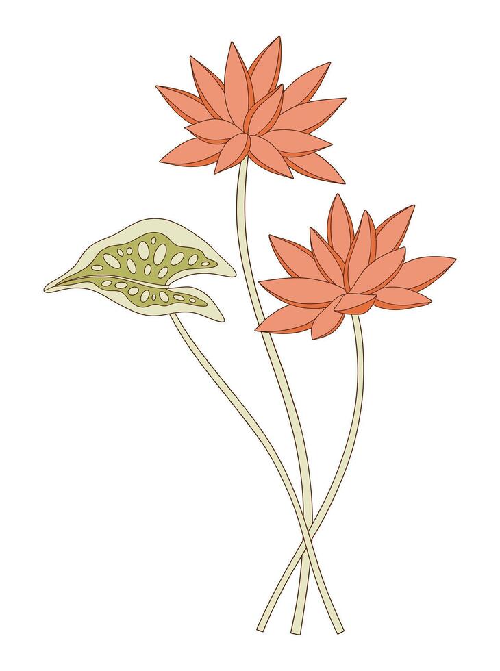 Bright bouquet of two nymphaea flowers with leaf vector