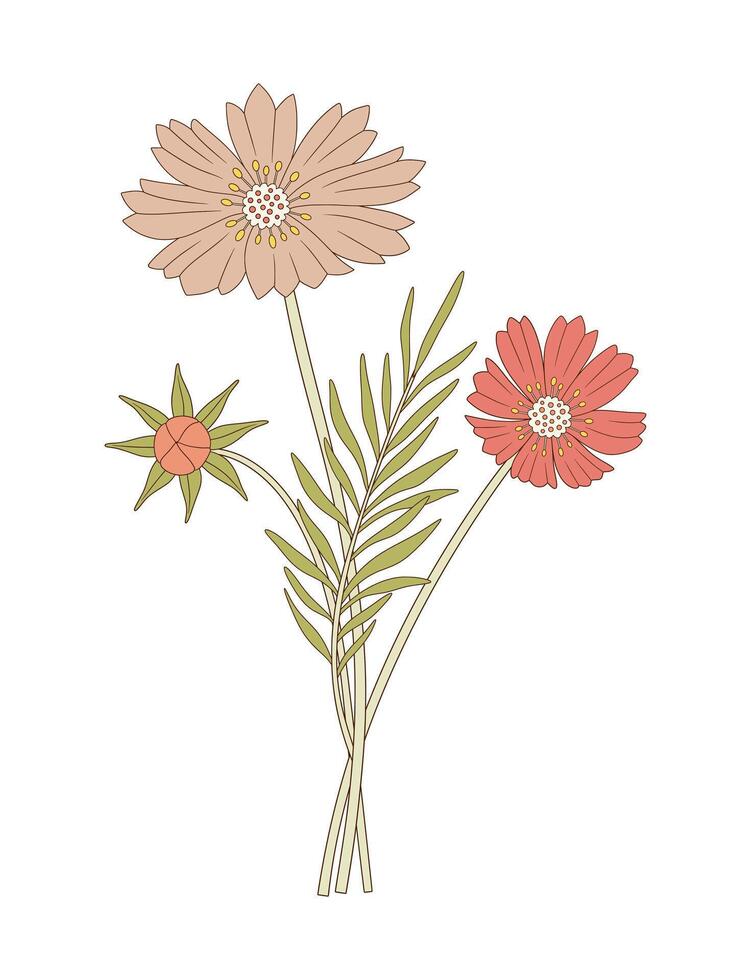 Bright bouquet of three cosmea flowers with leaves. Bunch of blooming perennial wild plants. Botanical hand drawn elements for design projects, illustration vector