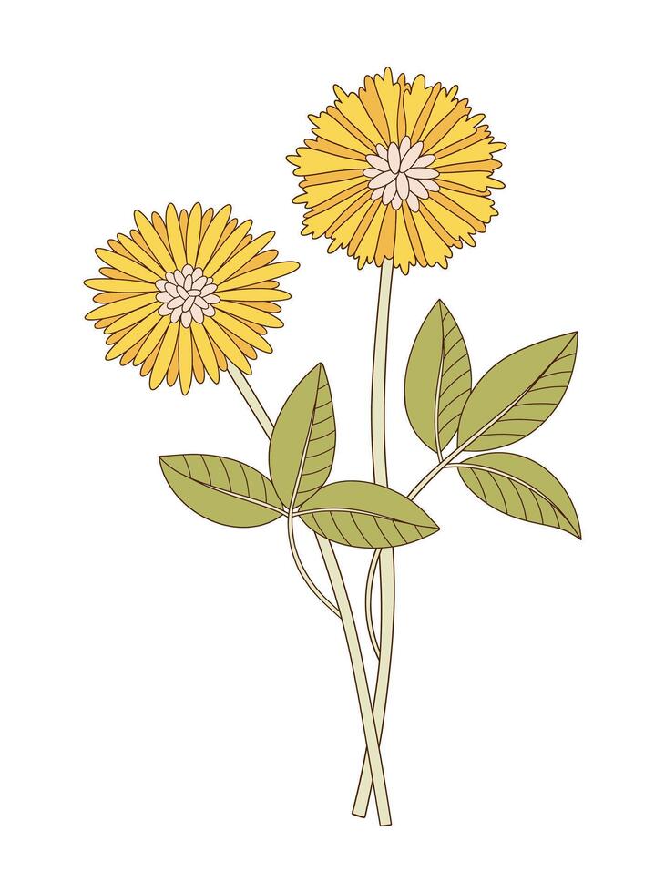 Bunch of two flowers with leaves. Bright bouquet of blooming perennial wild plants. Botanical hand drawn elements for design vector