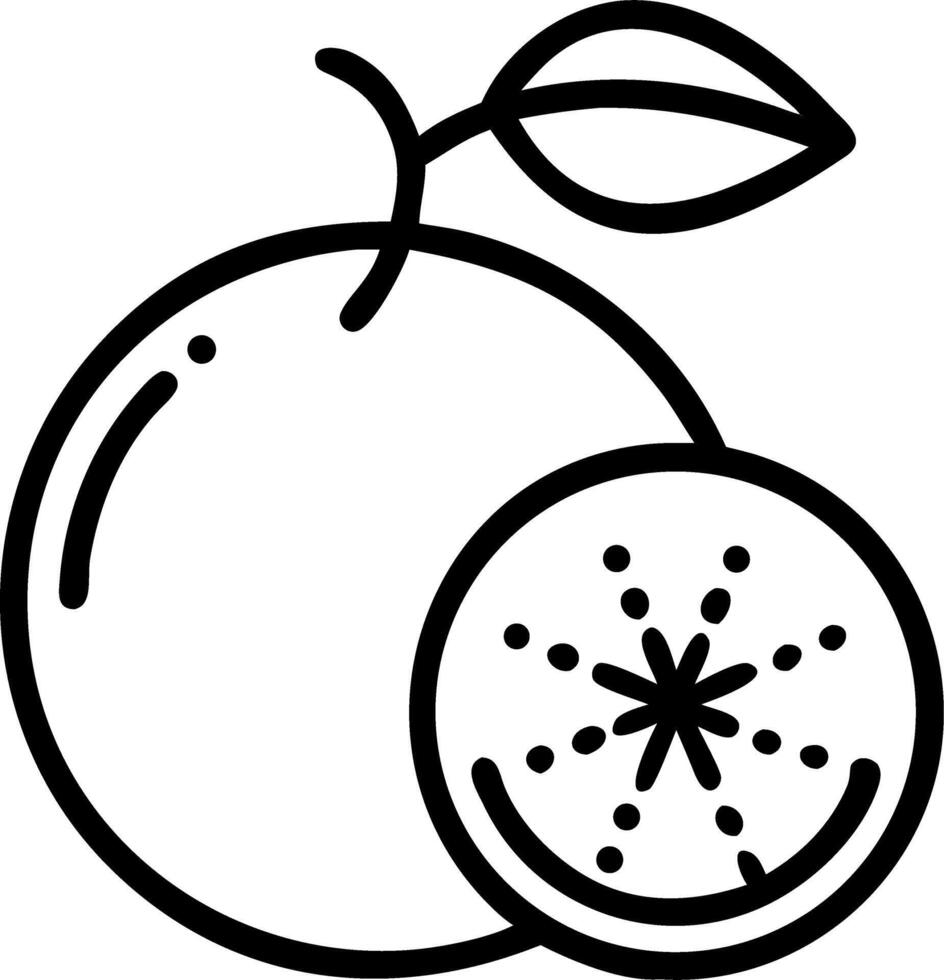 Orange fruit icon vector