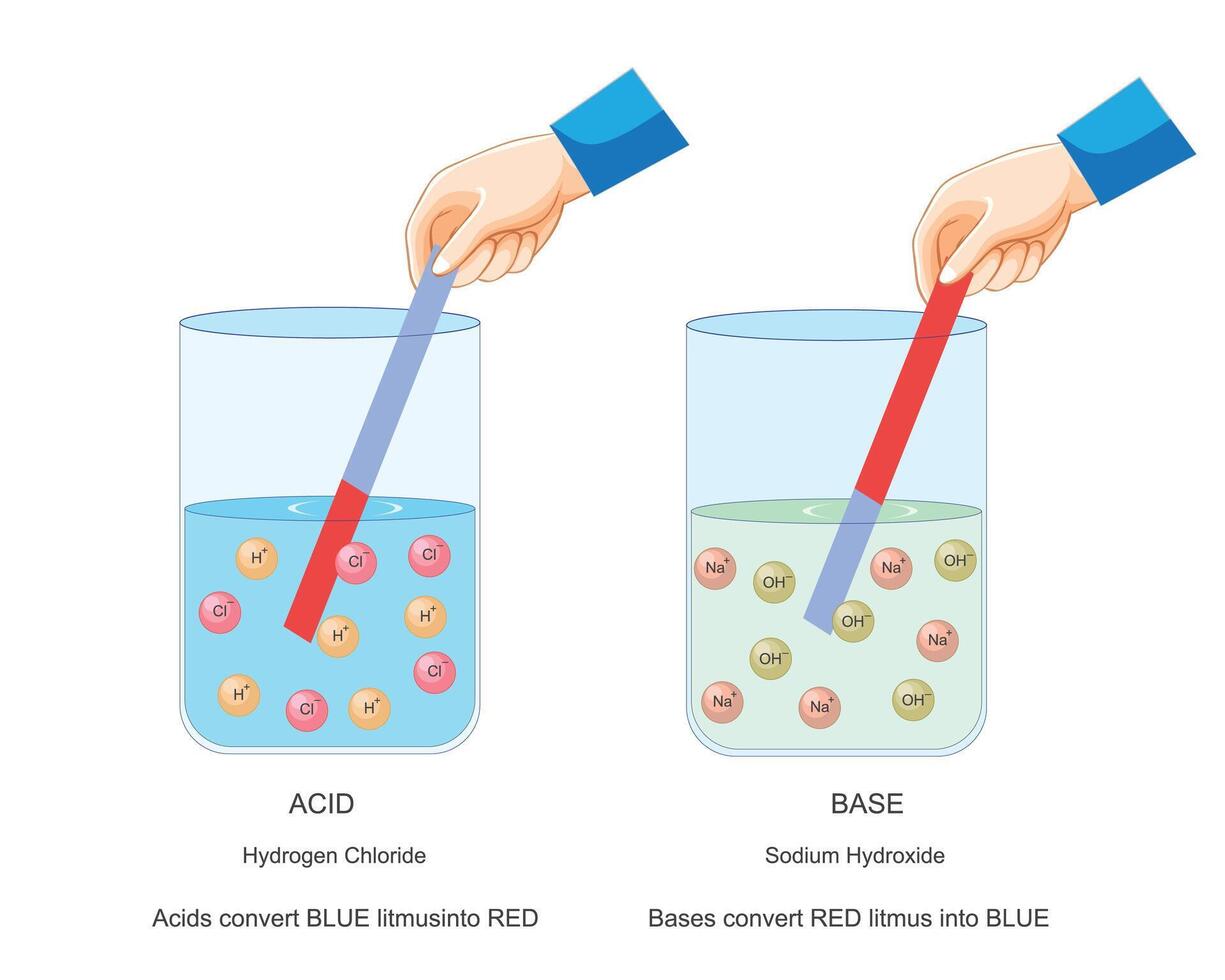 Acid Base Litmus Test, Chemistry concept. vector