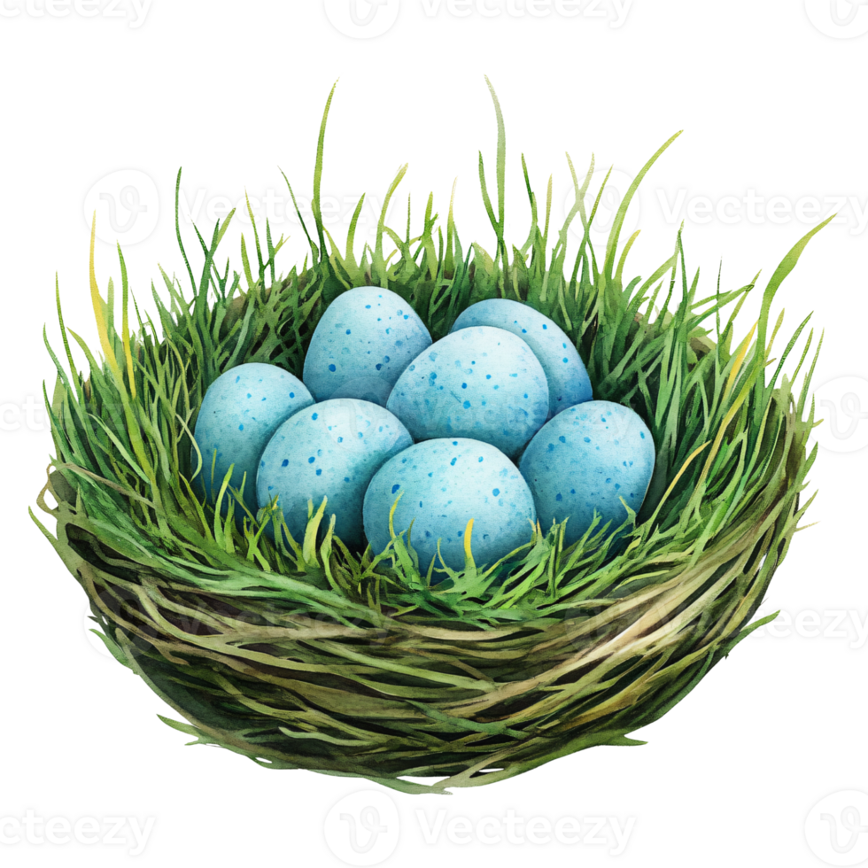 Nest made of twigs and grass holding several blue speckled eggs, symbolizing new life and springtime renewal, set against plain background png