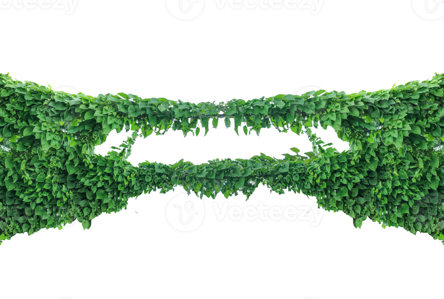 a green plant growing on a tree trunk, Abstract green grass texture mosaic map illustration of Ireland, hanging green plants on a tree with leaves, green livy leaves on a wall, png
