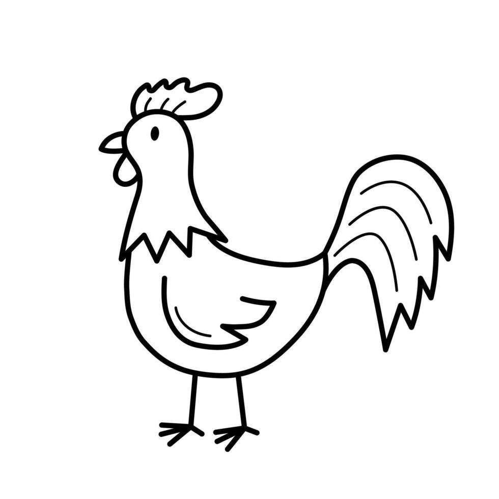 Rooster. Hand drawn sketch icon of domestic bird. Isolated illustration in doodle line style. vector