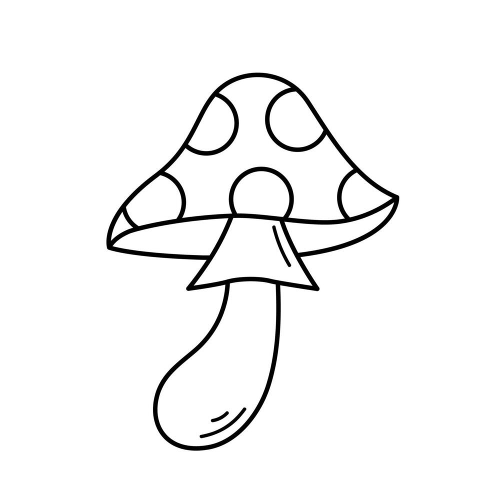 Fly agaric. Amanita. Hand drawn sketch icon of poisonous mushroom. Isolated illustration in doodle line style. vector