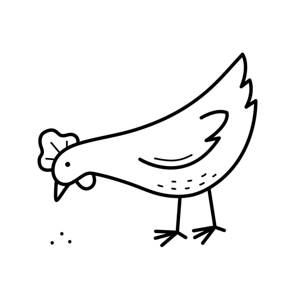 Chicken. The domestic bird pecks at the grain. Hand drawn sketch icon of farm poultry. Isolated illustration in doodle line style. vector