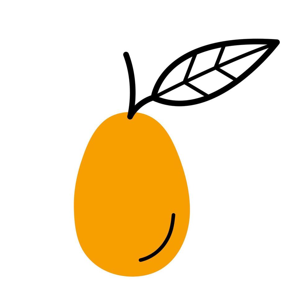 Whole kumquat with twig and leaf. Hand drawn sketch icon of citrus fruit. Isolated illustration in doodle line style. vector