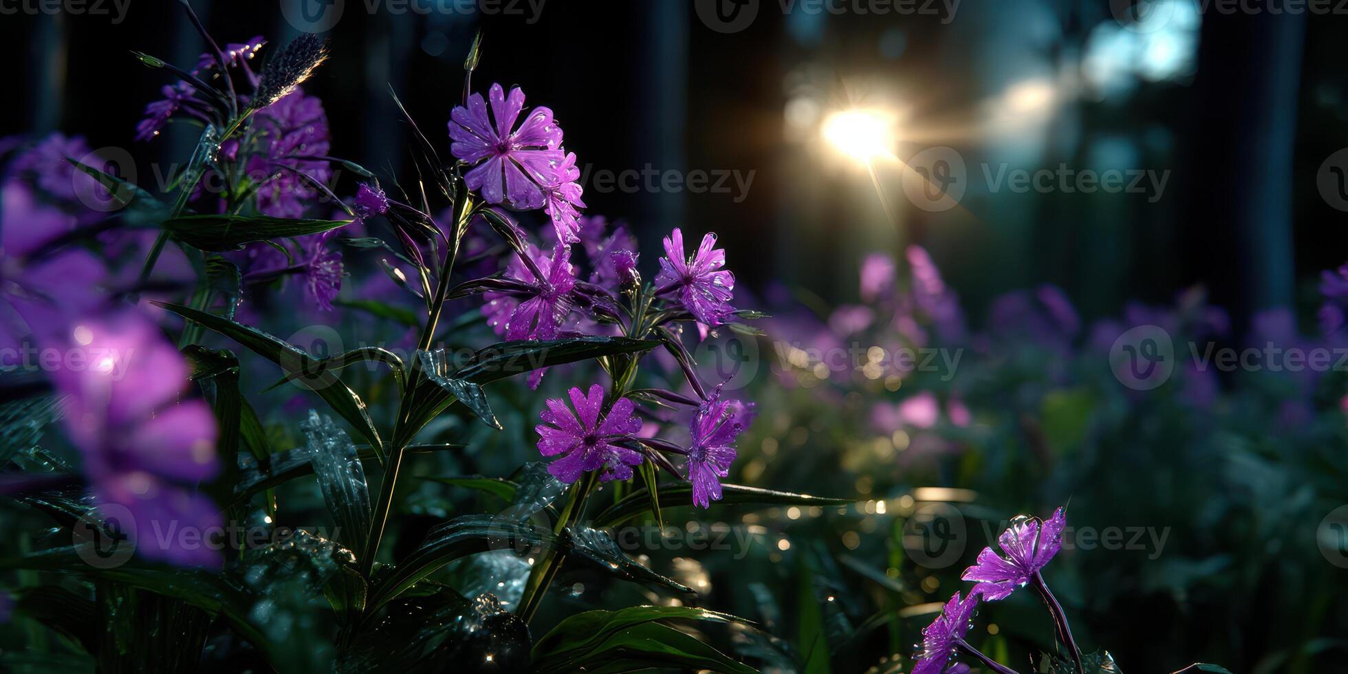 Purple flowers illuminated by sunset in a lush garden setting with droplets glistening photo
