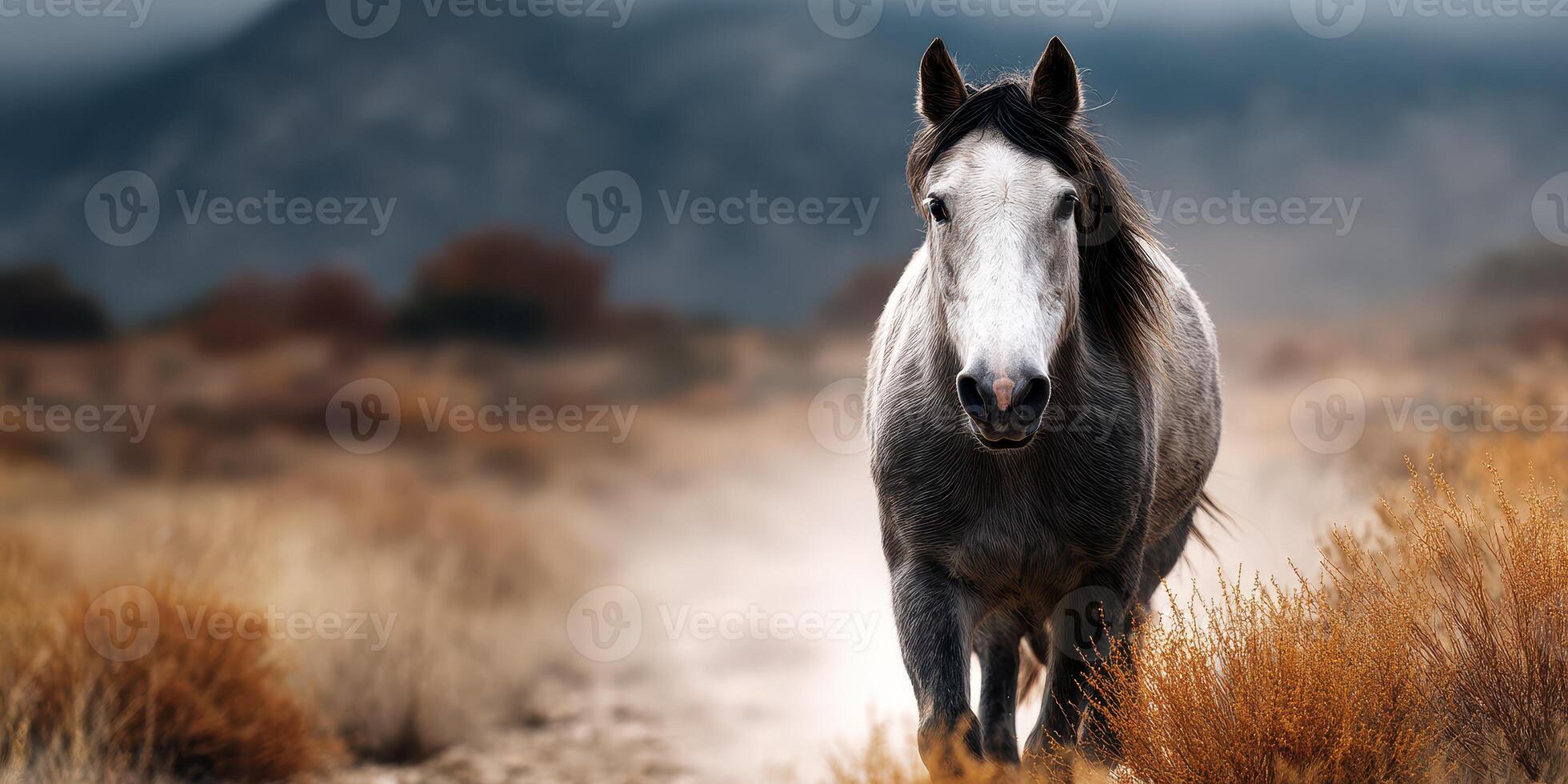 Majestic gray horse walking through a desert landscape at dawn with mountains in the background and mist rising from the ground photo