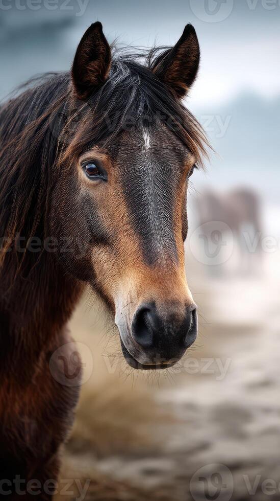 Majestic horse gazes calmly at the beach during a serene moment at sunset photo