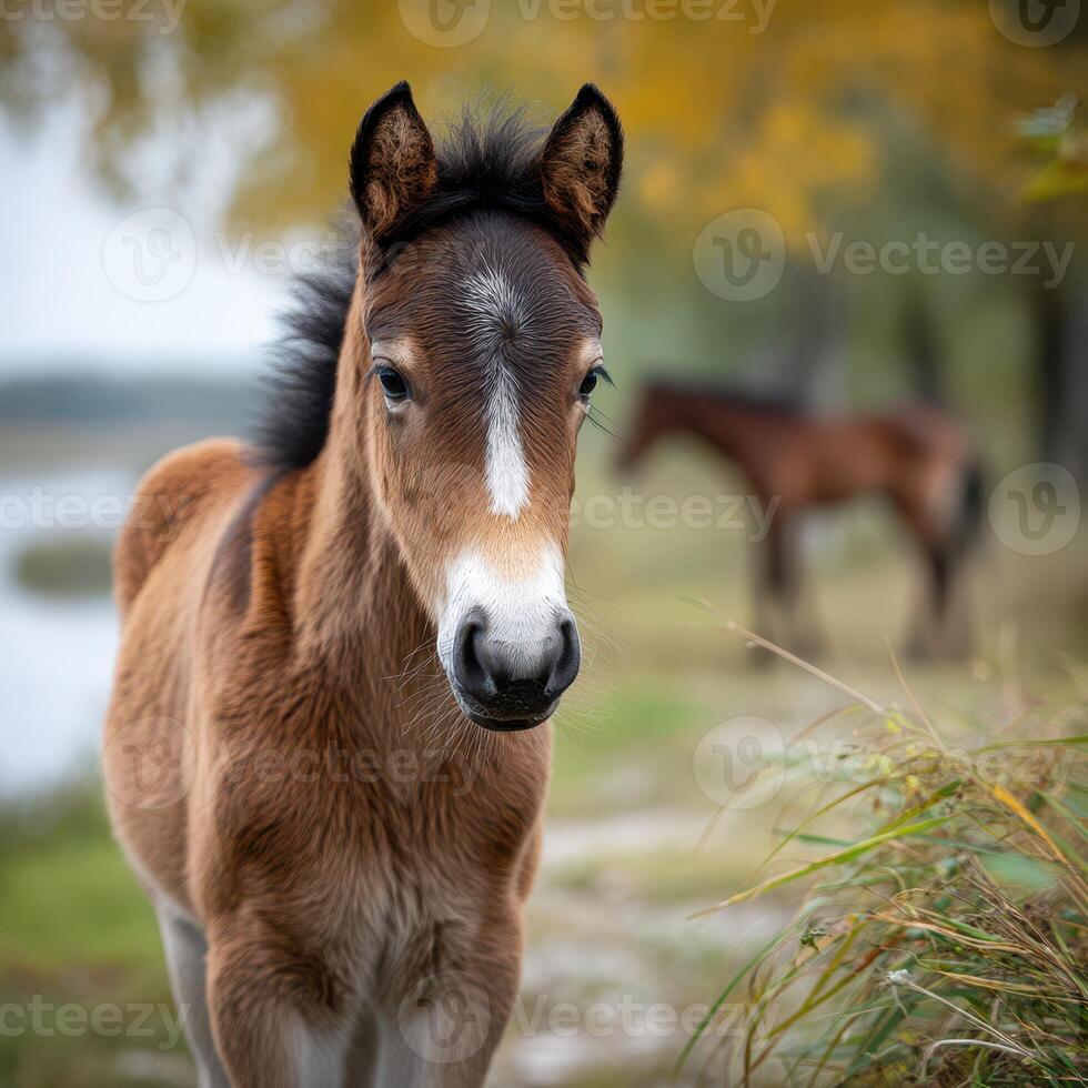Young foal explores a tranquil riverside while another horse grazes nearby during a calm autumn day photo
