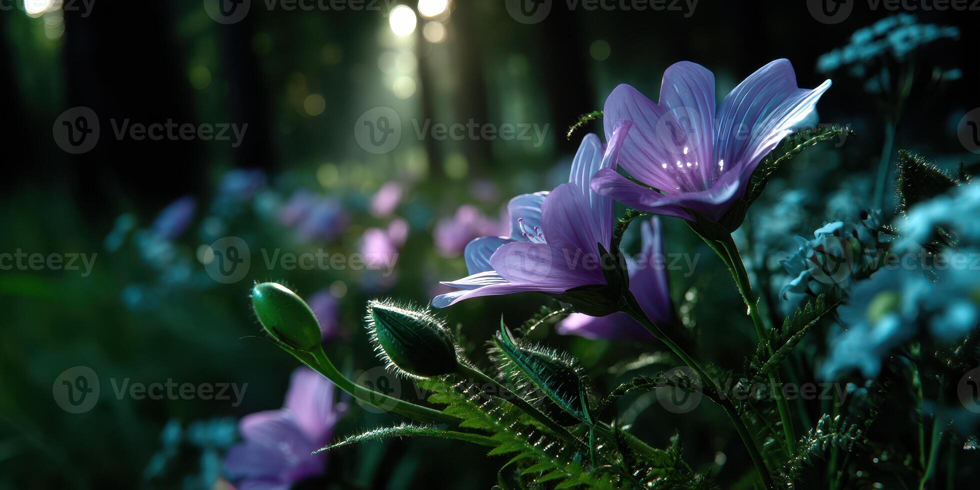 Vibrant purple flowers bloom in a serene forest setting during the golden hour of early evening photo