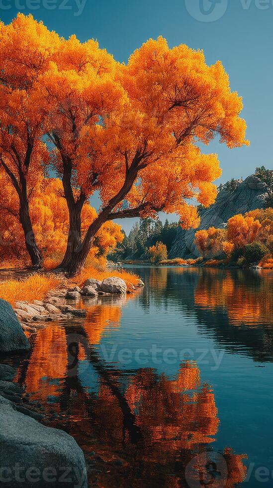 Vibrant autumn trees reflecting on calm river water during a sunny day in a serene natural setting photo