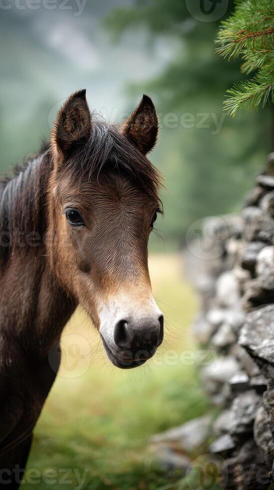 Majestic brown horse grazing in a serene meadow near a stone wall during a peaceful morning photo