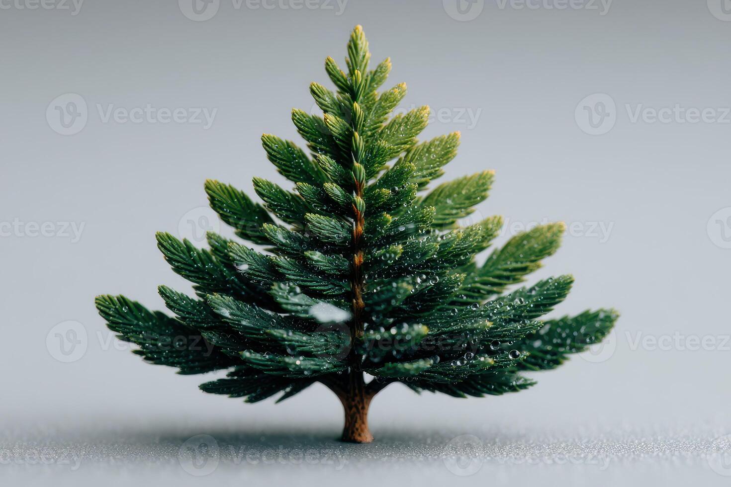 Miniature evergreen tree placed against a smooth gray surface with water droplets glistening, showcasing detailed foliage photo