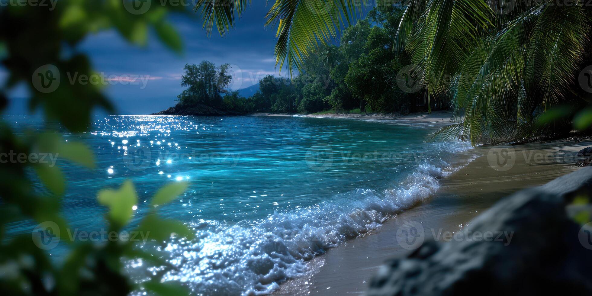 Calm night view of a tranquil beach with moonlight reflecting on the water surface photo