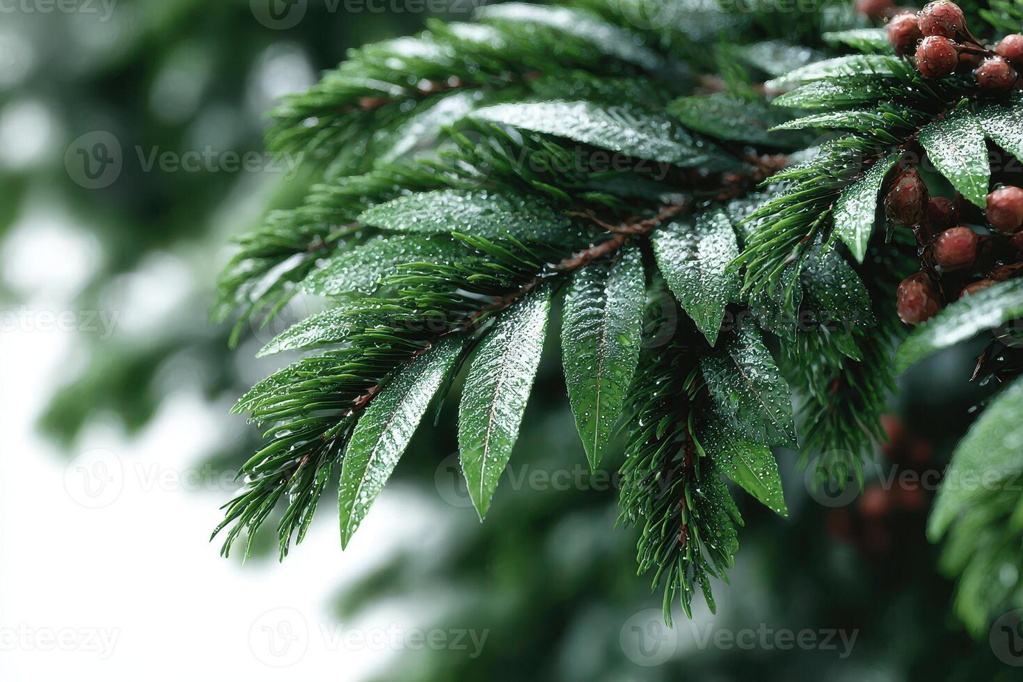 Close-up of vibrant green leaves glistening with raindrops in a natural setting during a rainy day photo