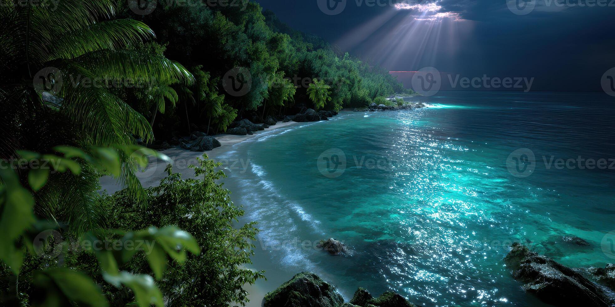 Serene tropical beach illuminated by moonlight and stars near palm trees against a night sky photo