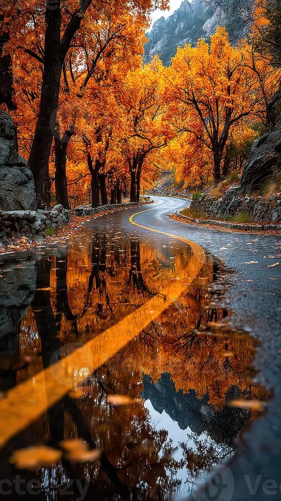 Autumn colors reflected on a winding road surrounded by vibrant foliage and a calm puddle photo