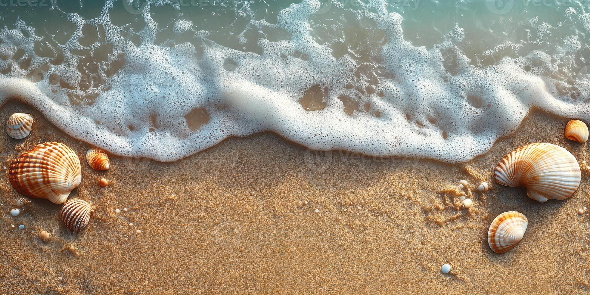 Seashells on sandy beach with gentle waves lapping at the shore during a sunny day photo