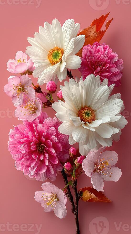 Colorful arrangement of flowers on pink background showcasing spring blooms and vibrant petals photo