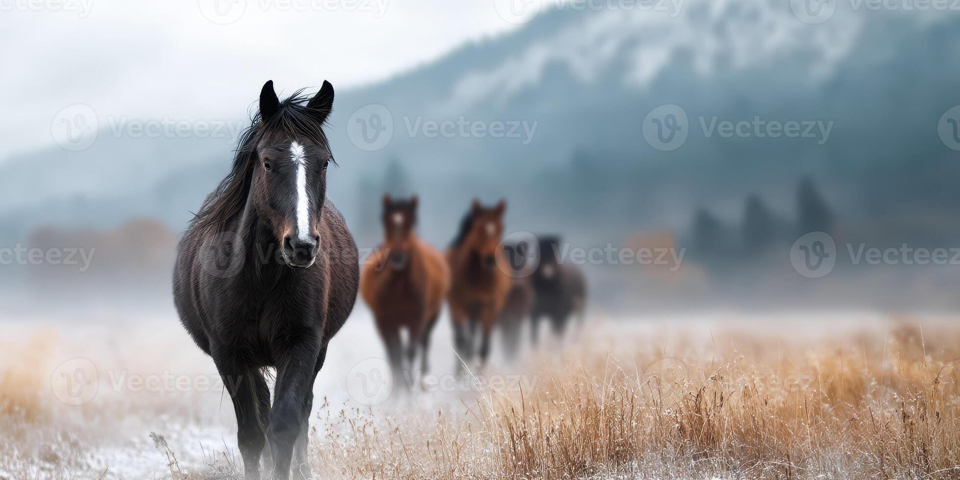 Horses walking through misty grassland in a mountainous region during early morning light photo