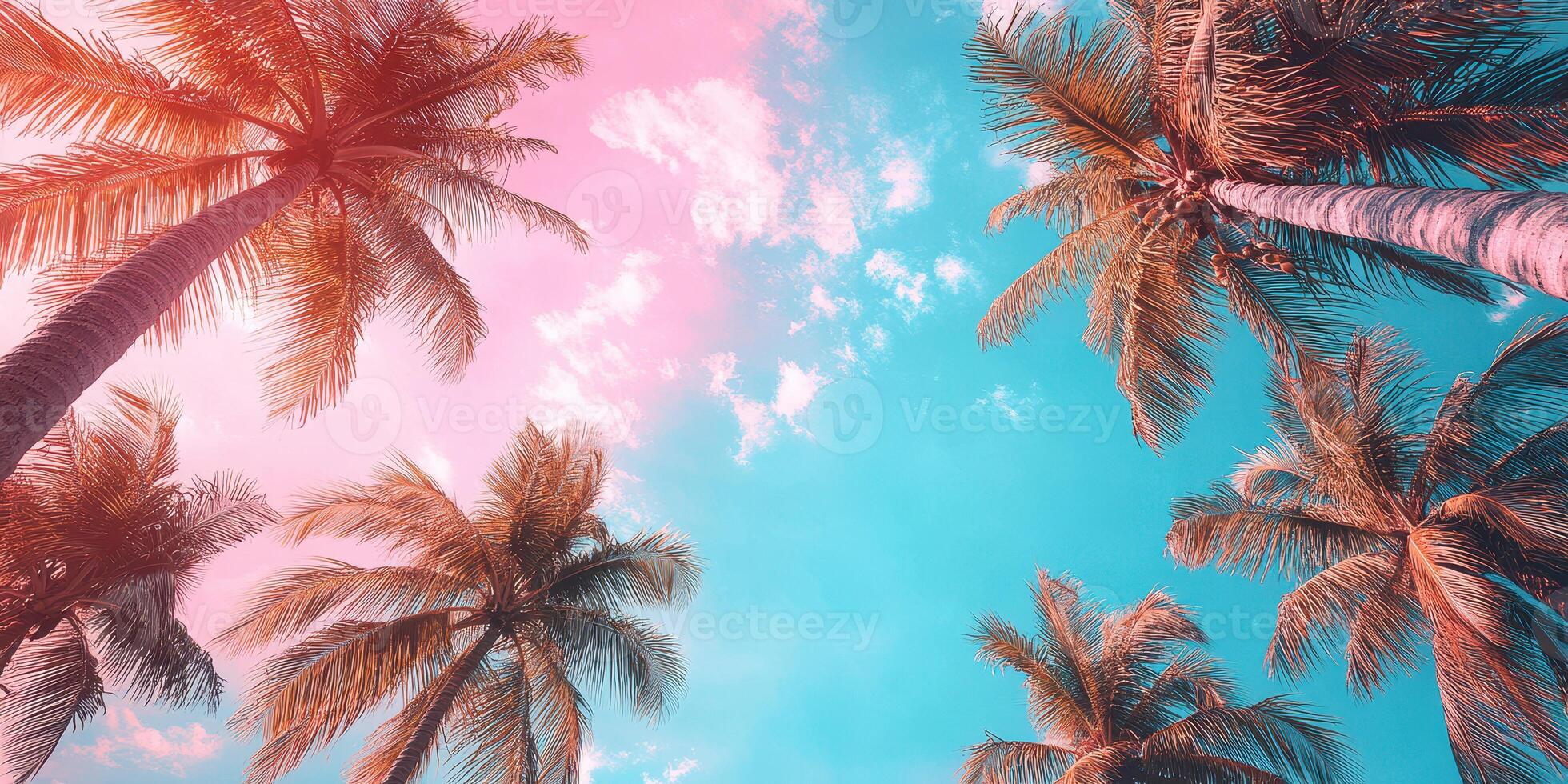 Colorful palm trees against a bright sky during sunset create a tranquil atmosphere in a tropical paradise setting photo