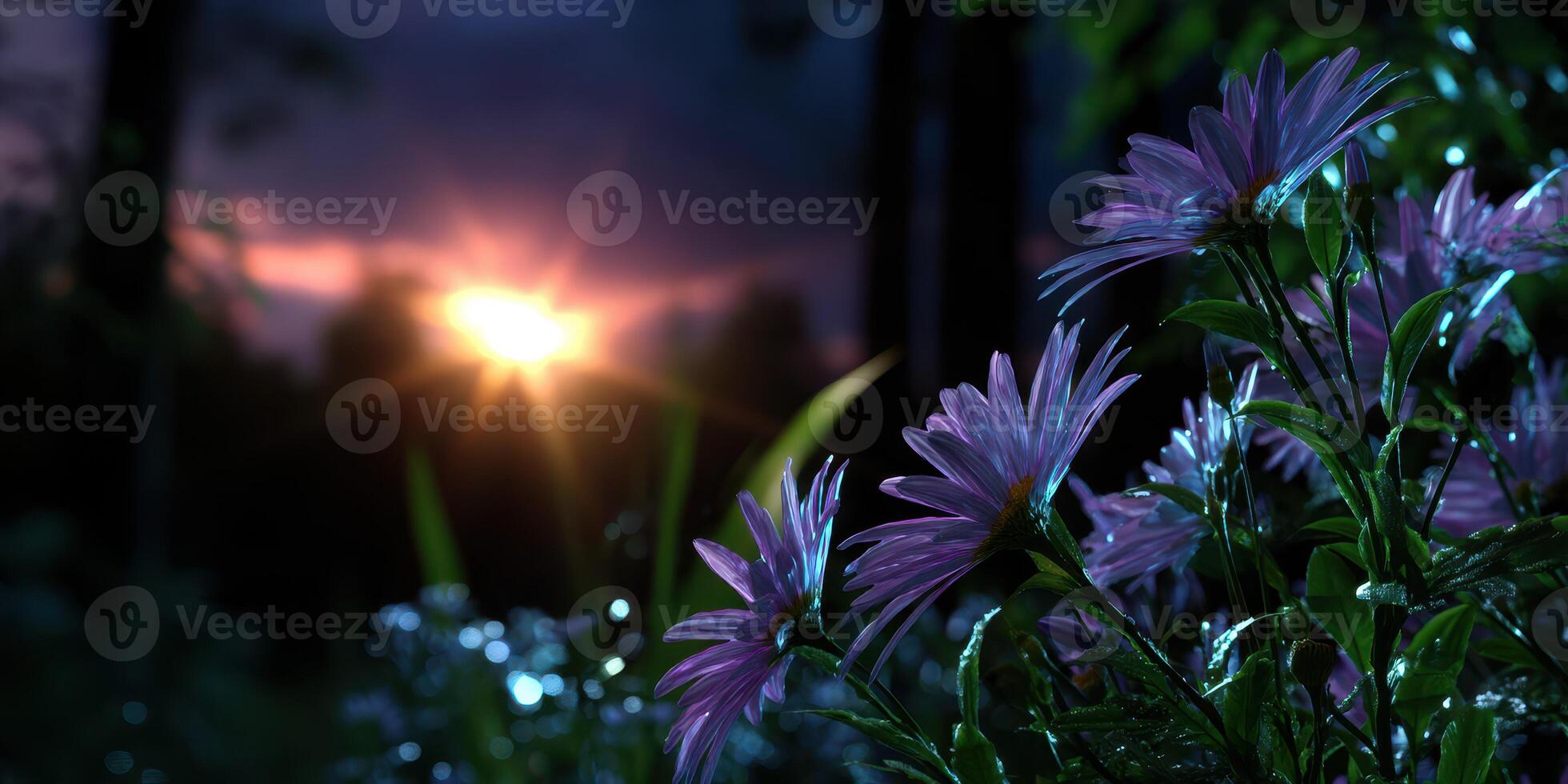 Beautiful sunset illuminates blooming flowers in a tranquil garden during twilight hours photo