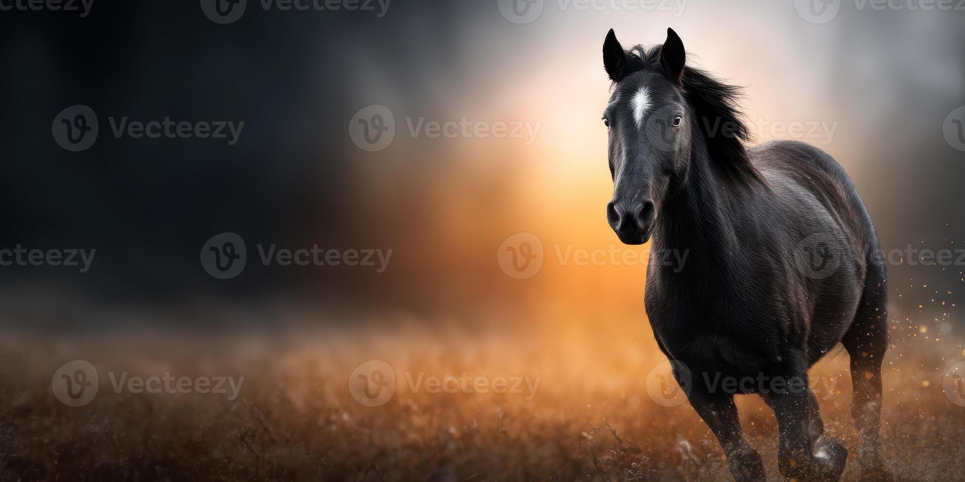 Majestic black horse gallops through a sunlit field at golden hour in a dramatic landscape photo