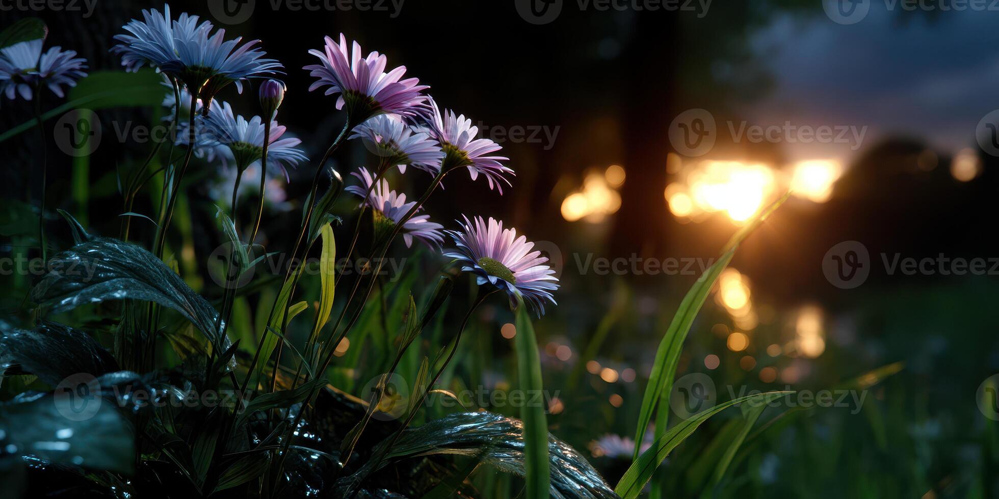 Daisies bloom amidst dewy grass as the sun sets, creating a serene natural backdrop in the evening light photo